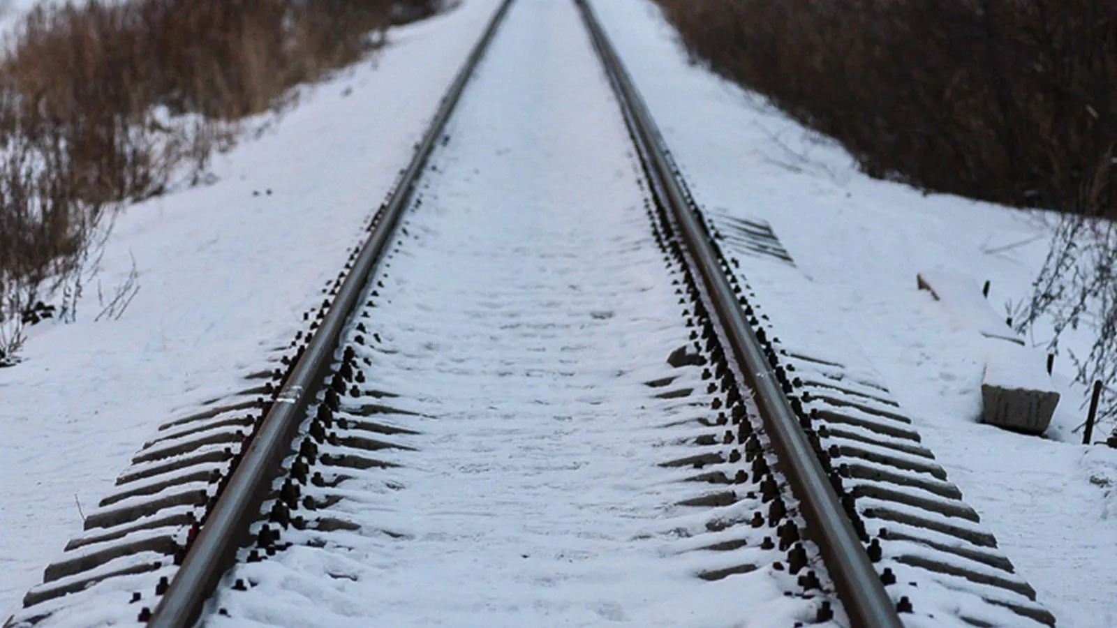 Қорақалпоғистонда поезд аёлни босиб кетди