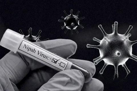 Қирғизистон Нипаҳ вируси хавфи туфайли Ҳиндистондан ҳайвонлар импортини чеклади