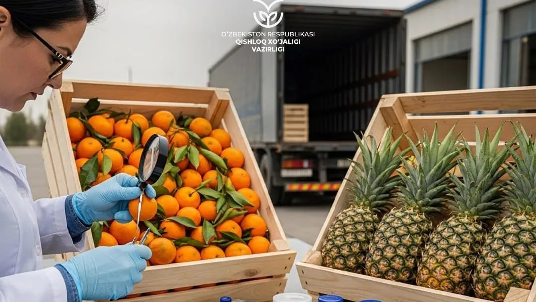 Хитойдан мандарин ва ананас импорти тақиқланди