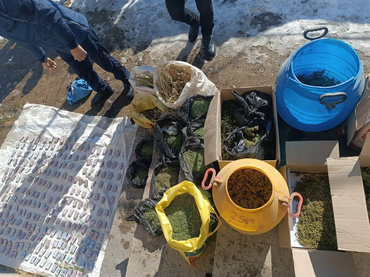 
														
														Қашқадарёда ака-укаларнинг хонадонидан қарийб 22 кг марихуана топилди
														
														