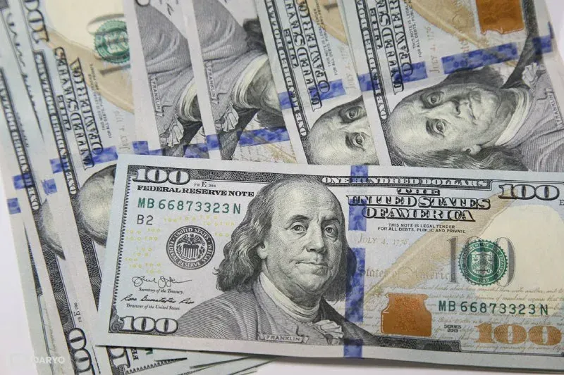 Navoiy va Toshkentda soxta valyuta savdosi to‘xtatildi