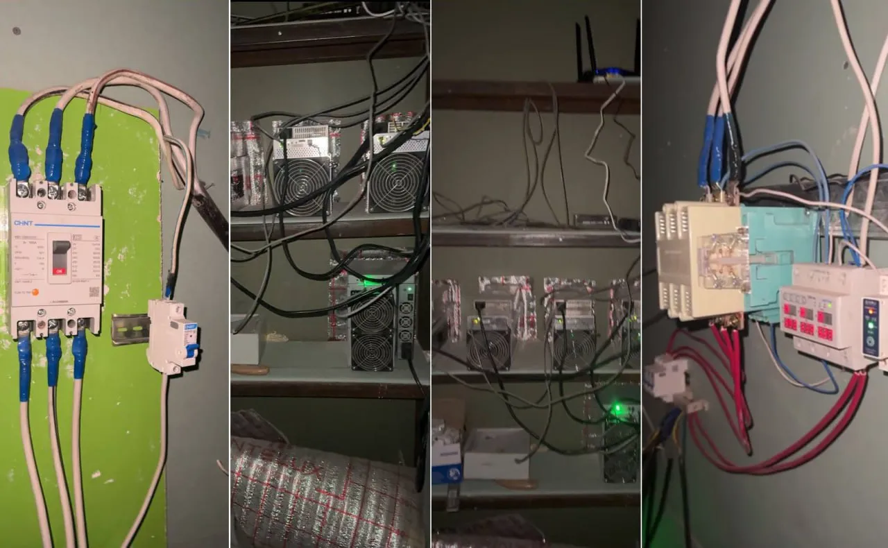 Samarqandda mayning ferma 2,2 mlrd so‘mlik elektrni o‘mardi