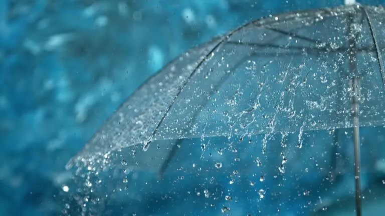 Эртага Ўзбекистоннинг айрим ҳудудларида ёмғир ёғиши кутилмоқда