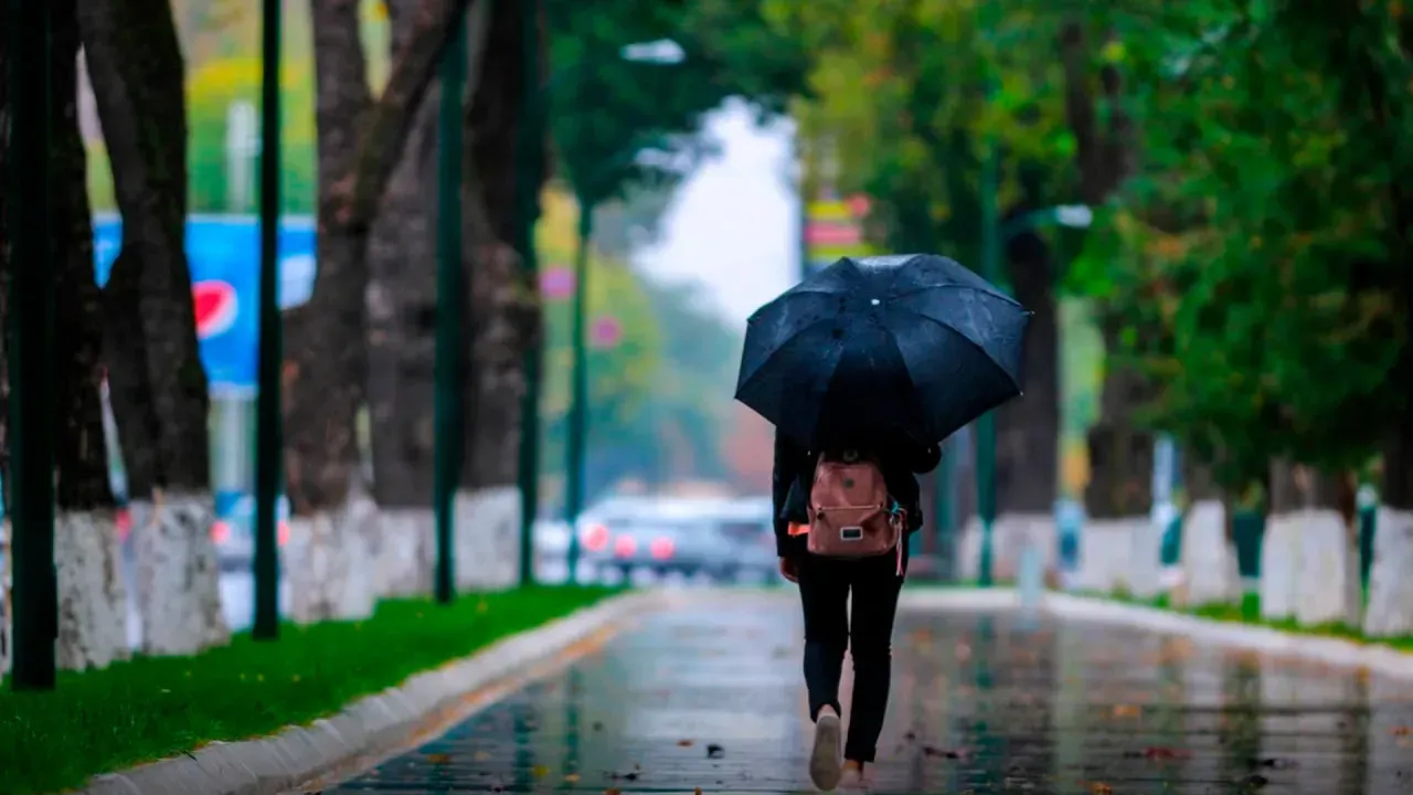 
														
														Бугун кундузи айрим жойларда қисқа муддатли ёмғир ёғиши мумкин
														
														